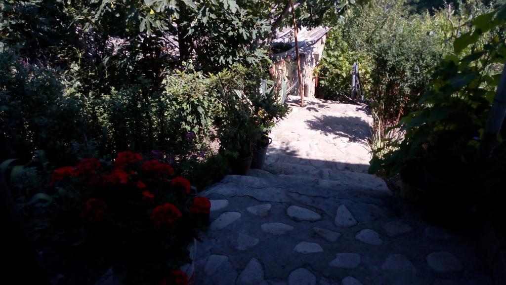 Abramichi Guest House Sighnaghi Extérieur photo