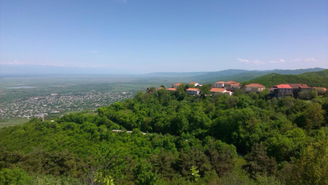 Abramichi Guest House Sighnaghi Chambre photo
